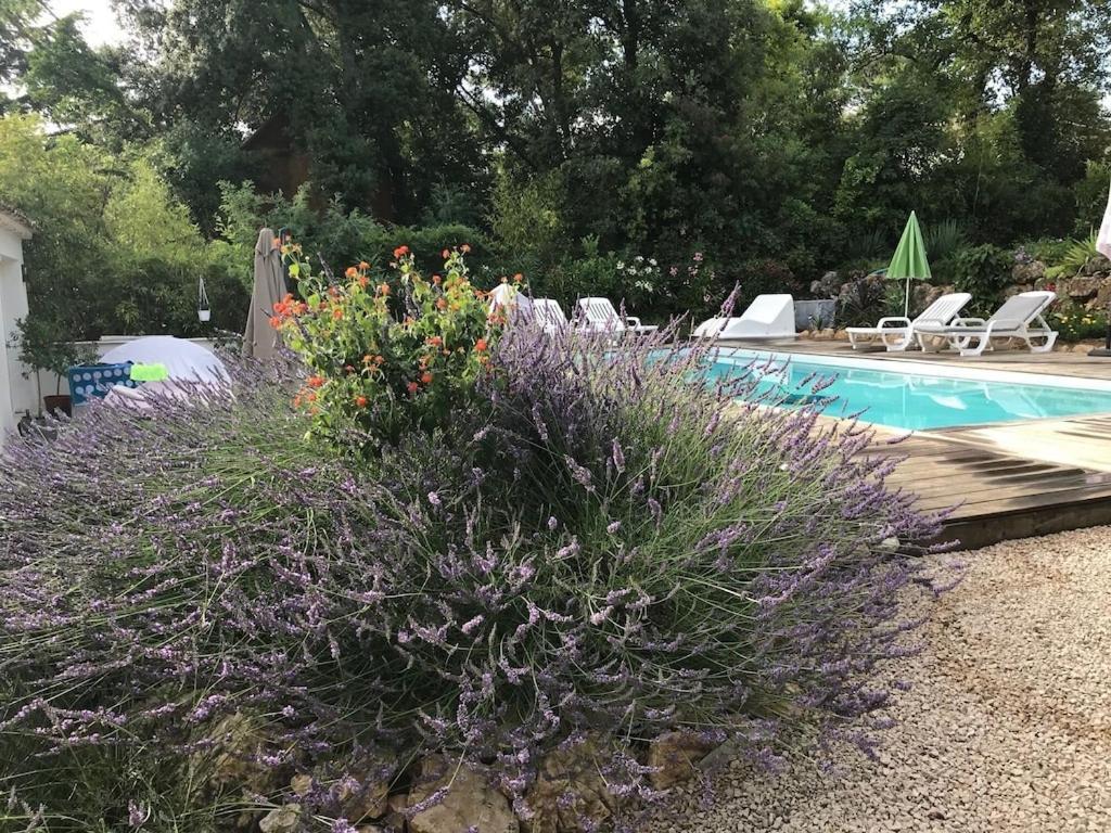 Villa Oha Close Cannes,Nice, Valbonne , Opio Roquefort-les-Pins Luaran gambar
