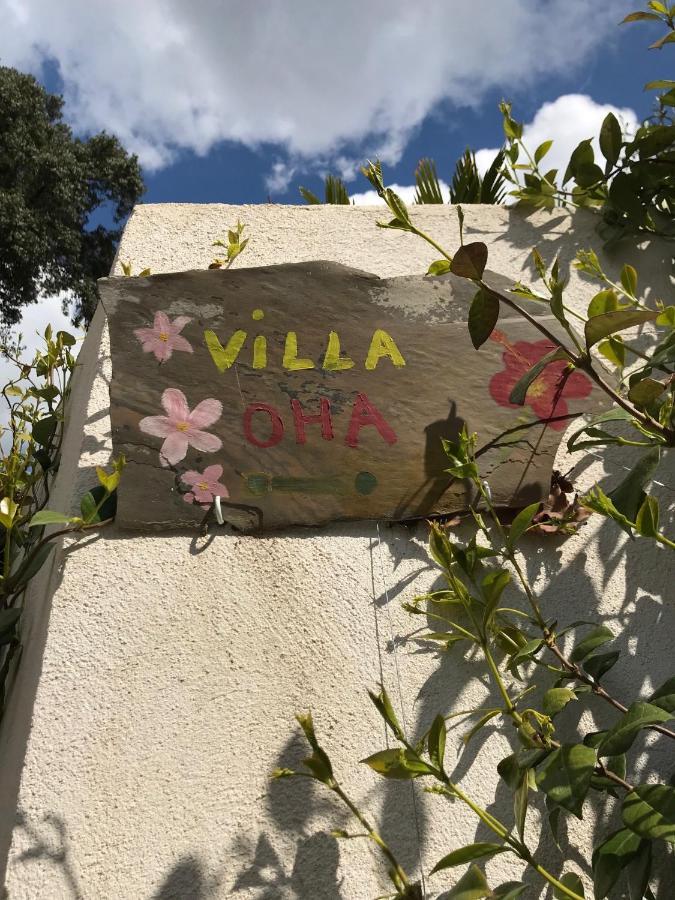 Villa Oha Close Cannes,Nice, Valbonne , Opio Roquefort-les-Pins Luaran gambar